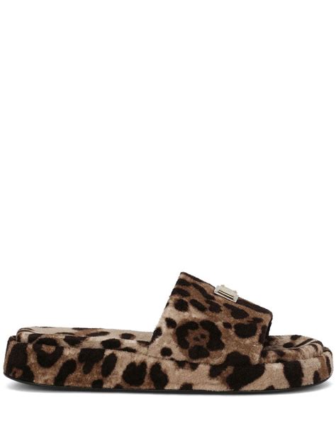 dolce gabbana fleece|Leopard.